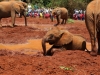 Mud bath time