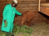 Julius with little Kiasa