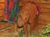 Kiasa had a 'boo boo' they were giving her medication for