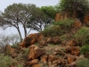 Rocky terrain