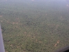 No wonder spotting wildlife in Meru is a challenge. As soon as you see them, they run into the dense vegetation.