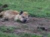 Just a short drive from the Mara airstrip, our welcoming committee - looking very excited.