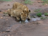 Water is everywhere after the rains