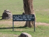 The rhino cemetery where there are memorials to all rhinos who have died in Ol Pejeta, both naturally and poached.