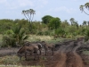 Meru National Park scenery