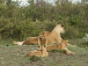 Is it hump day?