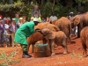 Tender care by the keepers