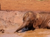 Love these mud baths