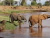 Crossing the Ewasso Ng'iro River