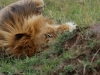 And not 20 feet from us keeping a close watch