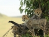 Kids at play