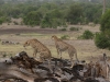 The brothers head out in search of dinner