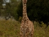 So cute