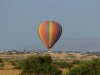 Lots of hot air balloons in the Mara which you can take a 30-90 minute ride with breakfast for $450 - crazy
