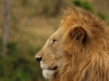 My best profile
