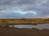 Threatening skies in the Mara