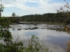 Mara River