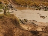 Now to photograph the cheetahs requires skill to cross the Talek River