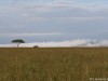 Fog in Mara North rolls in