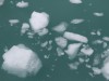 Chunks of glacier floating by