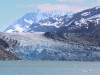 Johns Hopkins Glacier