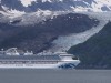 The Sapphire Princess cruise ship checking out a glacier