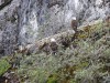 Eagles perched everywhere