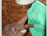 Tender touches April 15, 2012