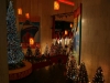 Museum of Science and Industry Holiday Display