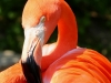 Very handsome