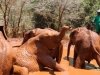 Mud bath time on my March 2017 visit