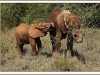 Dupotto and Embu August 29, 2014