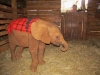 October 14, 2014 my visit with Dupotto
