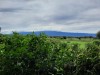 View of Kilimanjaro from Lunch