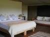Comfortable and Large Tent