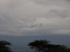 View of Mount Kilimanjaro from Room