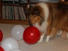 Lacey Jenkins Hoffmeyer with leftover balloons