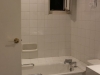Tub as well as shower stall