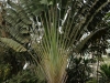 7A__4141 (Small)