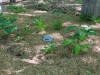 Haley's Resting Spot