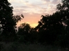 Sunrise from the porch of room