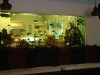 Relaxing Fish Tank