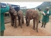May 29, 2015 arriving at Ithumba