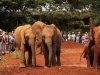 Barsilinga and Kithaka October 27, 2014 my 4th visit