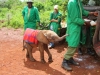 May 8, 2012 my visit to the orphanage
