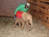 Kithaka with Keeper Julius
