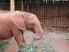 March 4, 2014 my second visit with Kithaka