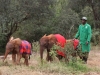 Kithaka, Bomani and Barsilinga with Peter