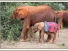 Kithaka and Shakuru July 18, 2012