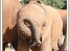 Kithaka growing up July 2013